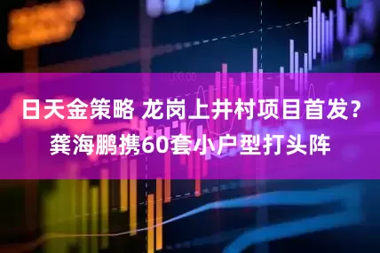 日天金策略 龙岗上井村项目首发？龚海鹏携60套小户型打头阵