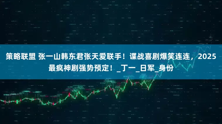 策略联盟 张一山韩东君张天爱联手！谍战喜剧爆笑连连，2025最疯神剧强势预定！_丁一_日军_身份